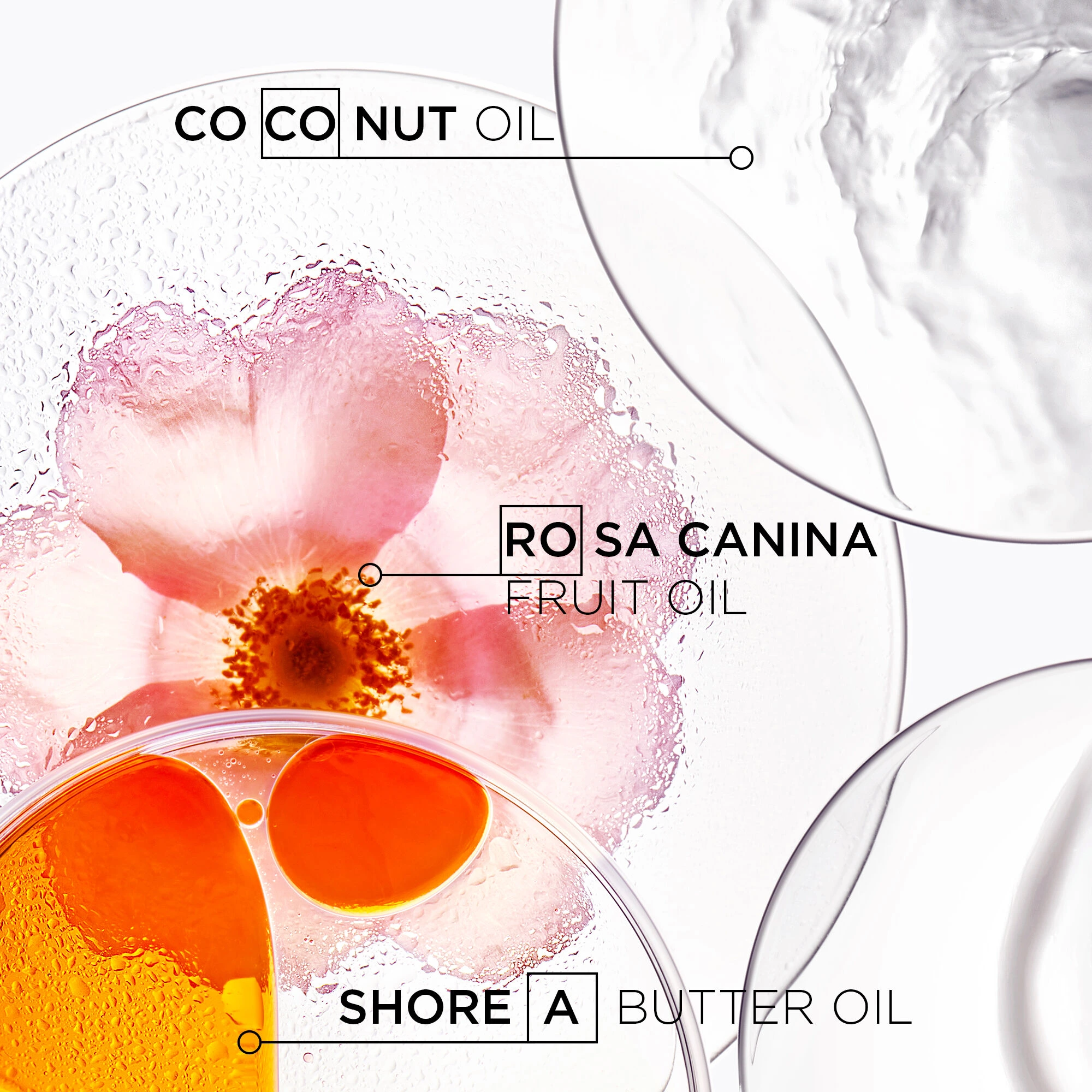Kerastase-Discipline-Masque-Oleo-Relax-Hair-Mask-Ingredients